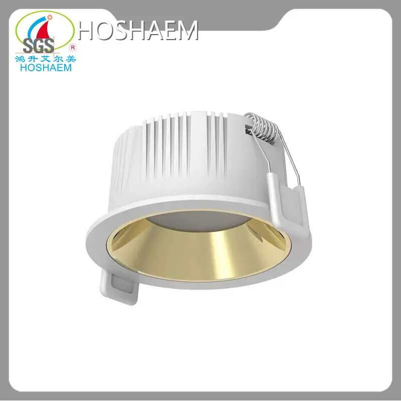 HOSHAEM Small Diameter Led Downlights Small Diameter Led DownlightsFactory 1