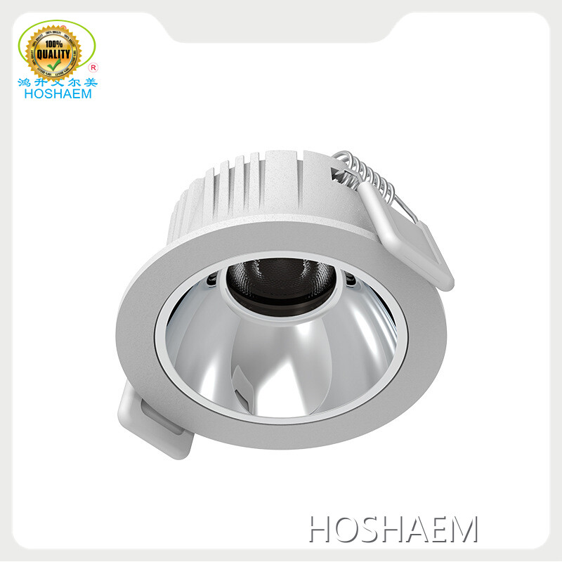 Led Spot Light Manufacturer - - HOSHAEM 1