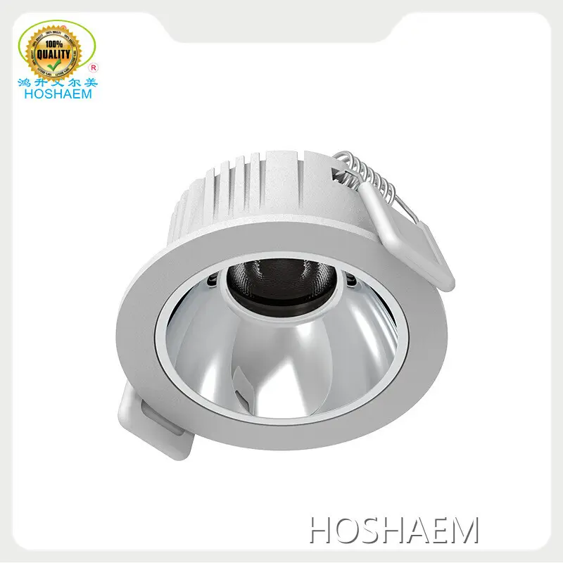 Led Spot Light Manufacturer - - HOSHAEM 1