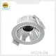 Led Spot Light Manufacturer - - HOSHAEM 1