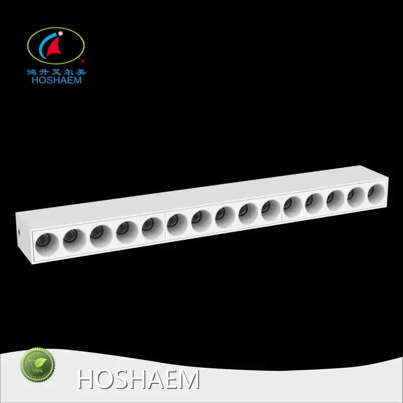 Linear Hanging Light by HOSHAEM 1
