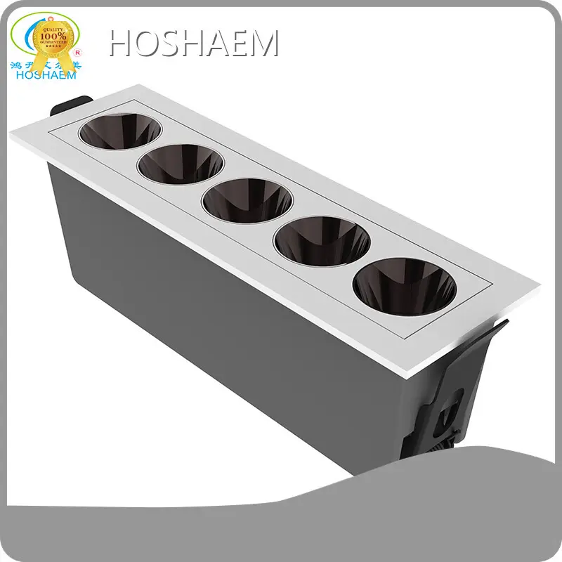 Led Linear Light Supplier - - HOSHAEM 1