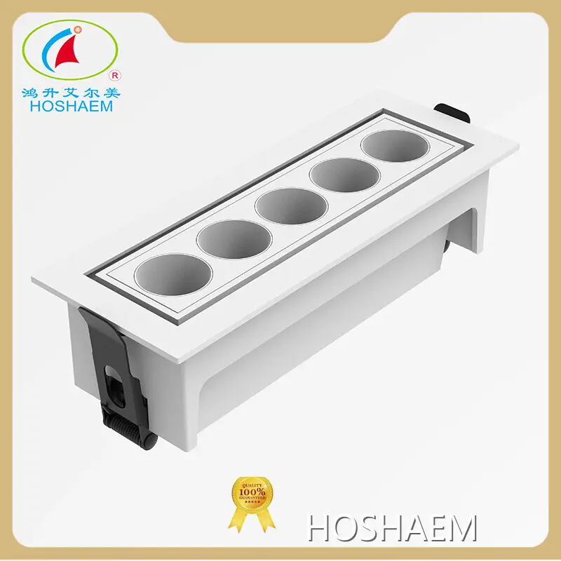 HOSHAEM Linear Exterior Led Lighting Suppliers 1