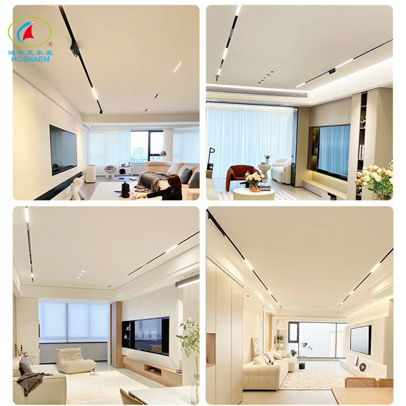 Hongsheng Hoshaem Magnetic Track Light Luce incorporato Spotlight Grill Spotlight for Home Hotel Rail System Alluminio 48V Ultra Shin LED Lighting Produttore 3