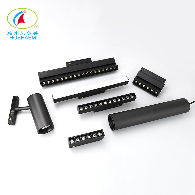 Hongsheng Hoshaem Magnetic Track Light Luce incorporato Spotlight Grill Spotlight for Home Hotel Rail System Alluminio 48V Ultra Shin LED Lighting Produttore 4