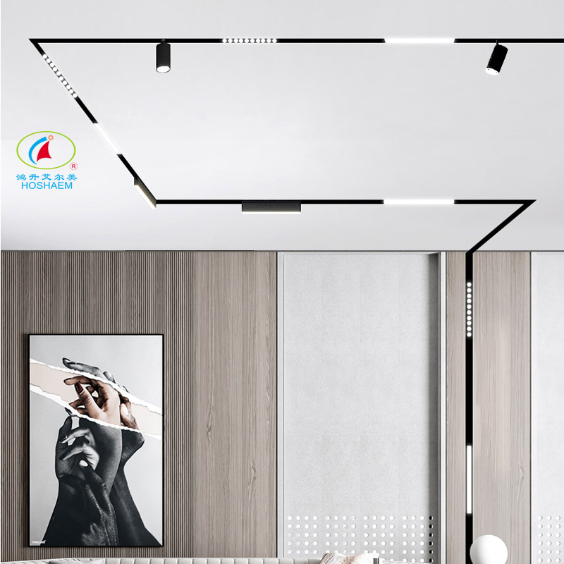 Hongsheng Hoshaem Magnetic Track Light Luce incorporato Spotlight Grill Spotlight for Home Hotel Rail System Alluminio 48V Ultra Shin LED Lighting Produttore 5