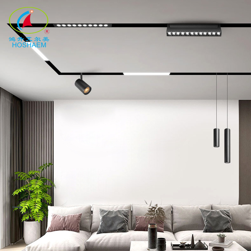 Hongsheng Hoshaem Magnetic Track Light Luce incorporato Spotlight Grill Spotlight for Home Hotel Rail System Alluminio 48V Ultra Shin LED Lighting Produttore 6