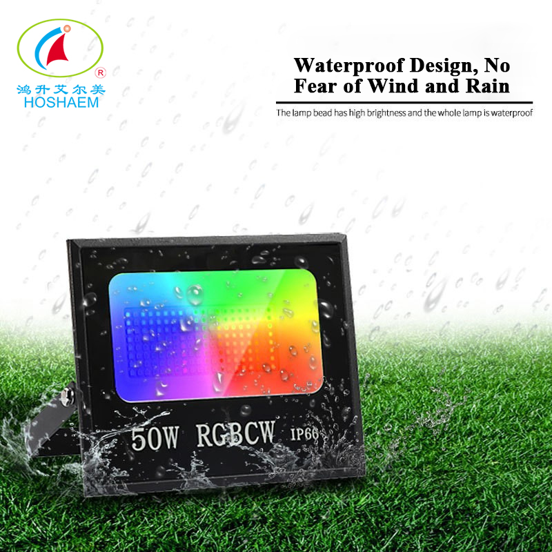 Hongsheng HOSHAEM LED RGB 30W 50W 100W Proiettore con telecomando per esterni ad alta potenza IP66 Produttore di illuminazione impermeabile 2