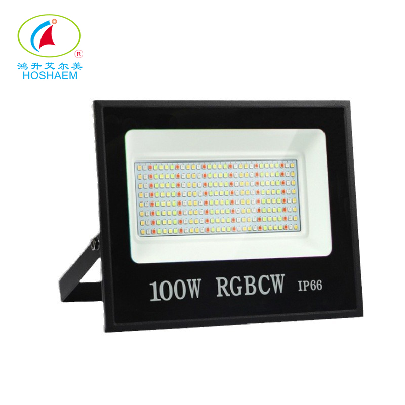 Hongsheng HOSHAEM LED RGB 30W 50W 100W Proiettore con telecomando per esterni ad alta potenza IP66 Produttore di illuminazione impermeabile 3