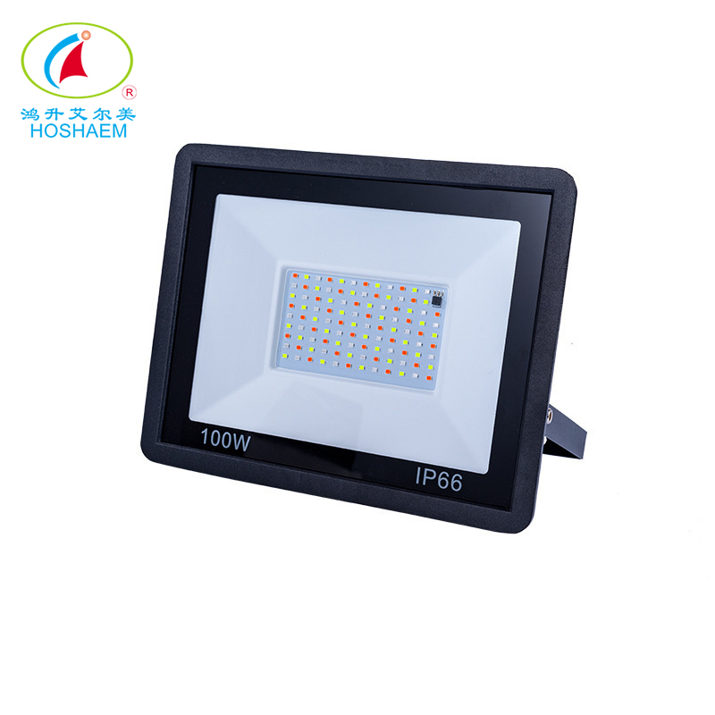 Hongsheng HOSHAEM LED RGB 30W 50W 100W Proiettore con telecomando per esterni ad alta potenza IP66 Produttore di illuminazione impermeabile 4