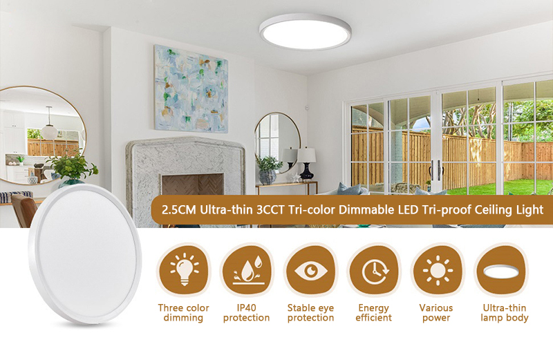 Led ceiling light 18W,24W,32W, 40W,50W, 80W 5