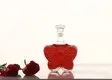 Glass Wine Bottles Wholesale Topwell-1 2