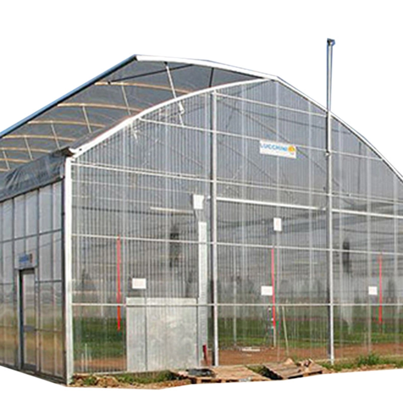 Venlo Type Tip Roof PC Sunshine Board Multi-Span Greenhouse for Seedling Breeding/Rose Market/Dwarfed Fruit Tree 1