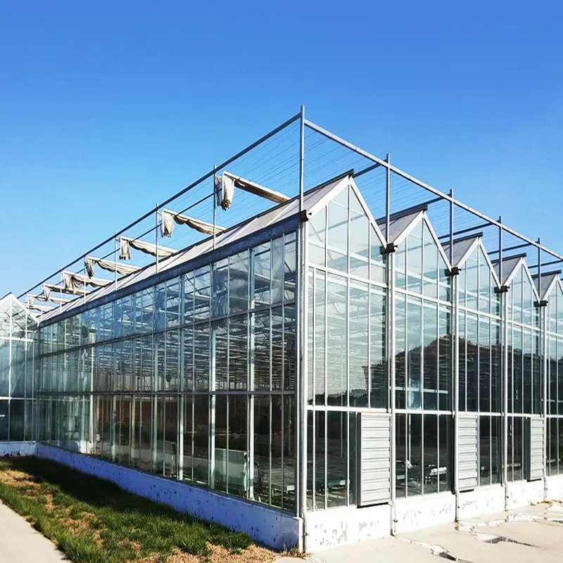 Indoor Glass Greenhouse by Skyplant 2