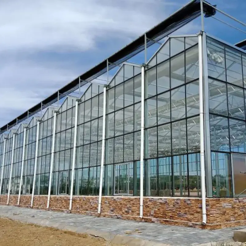 Indoor Glass Greenhouse by Skyplant 3