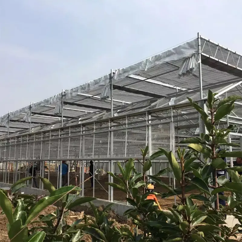 Indoor Glass Greenhouse by Skyplant 5