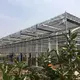 Indoor Glass Greenhouse by Skyplant 5