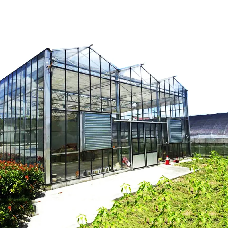 Indoor Glass Greenhouse by Skyplant 6
