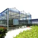 Indoor Glass Greenhouse by Skyplant 6