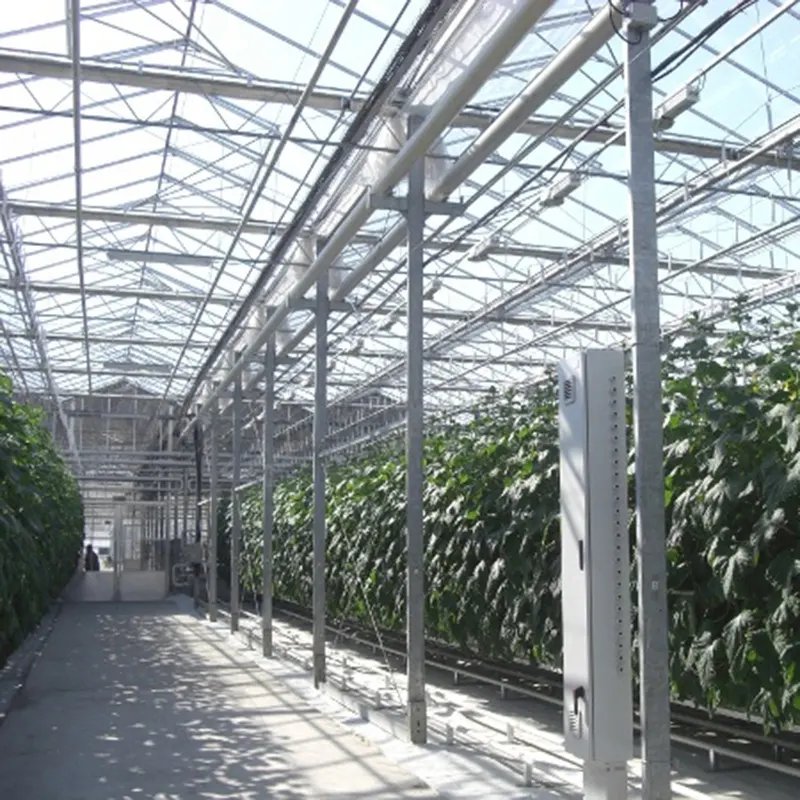 Indoor Glass Greenhouse by Skyplant 7