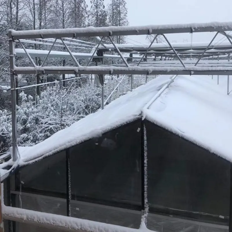 Indoor Glass Greenhouse by Skyplant 8