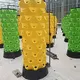 Best Hydroponic Tower Garden by Skyplant 6