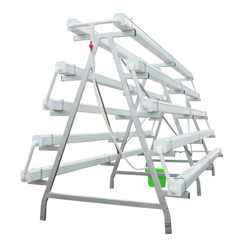 Indoor Hydroponic System for Aquaponic Greenhouse 1
