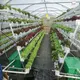 Square Pvc Pipe for Hydroponics by Skyplant 8