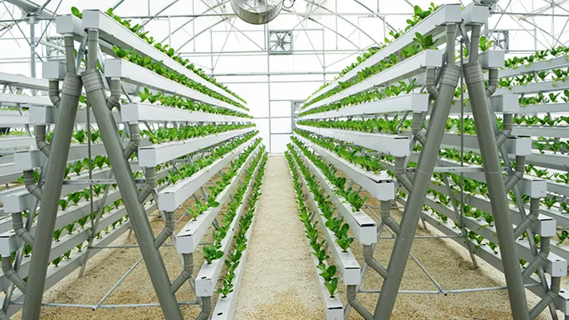 Square Pvc Pipe for Hydroponics by Skyplant 3