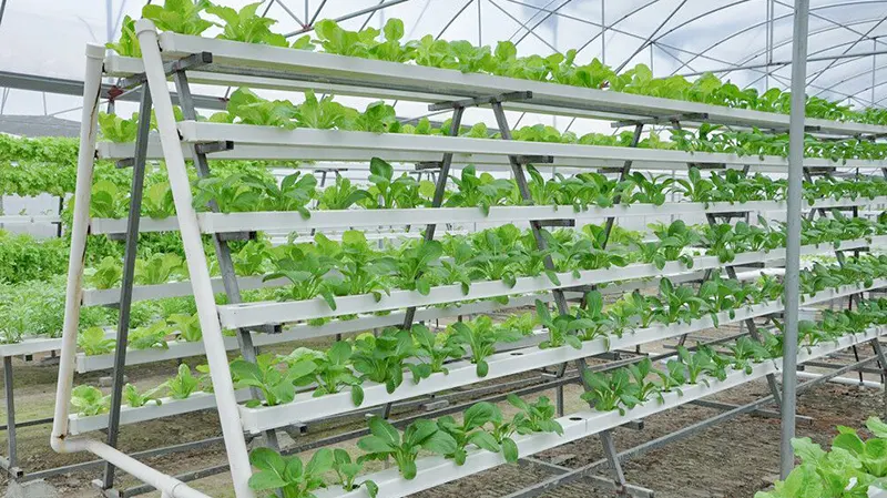 Square Pvc Pipe for Hydroponics by Skyplant 4