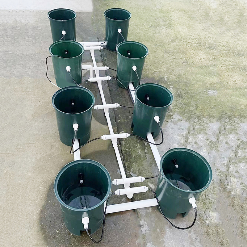 Dutch Bucket RDWC Hydroponic Systems ( Recirculating Deep Water Culture Systems ) Skyplant