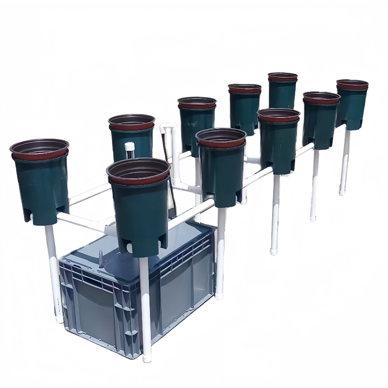 Dutch Bucket RDWC Hydroponic Systems ( Recirculating Deep Water Culture ...