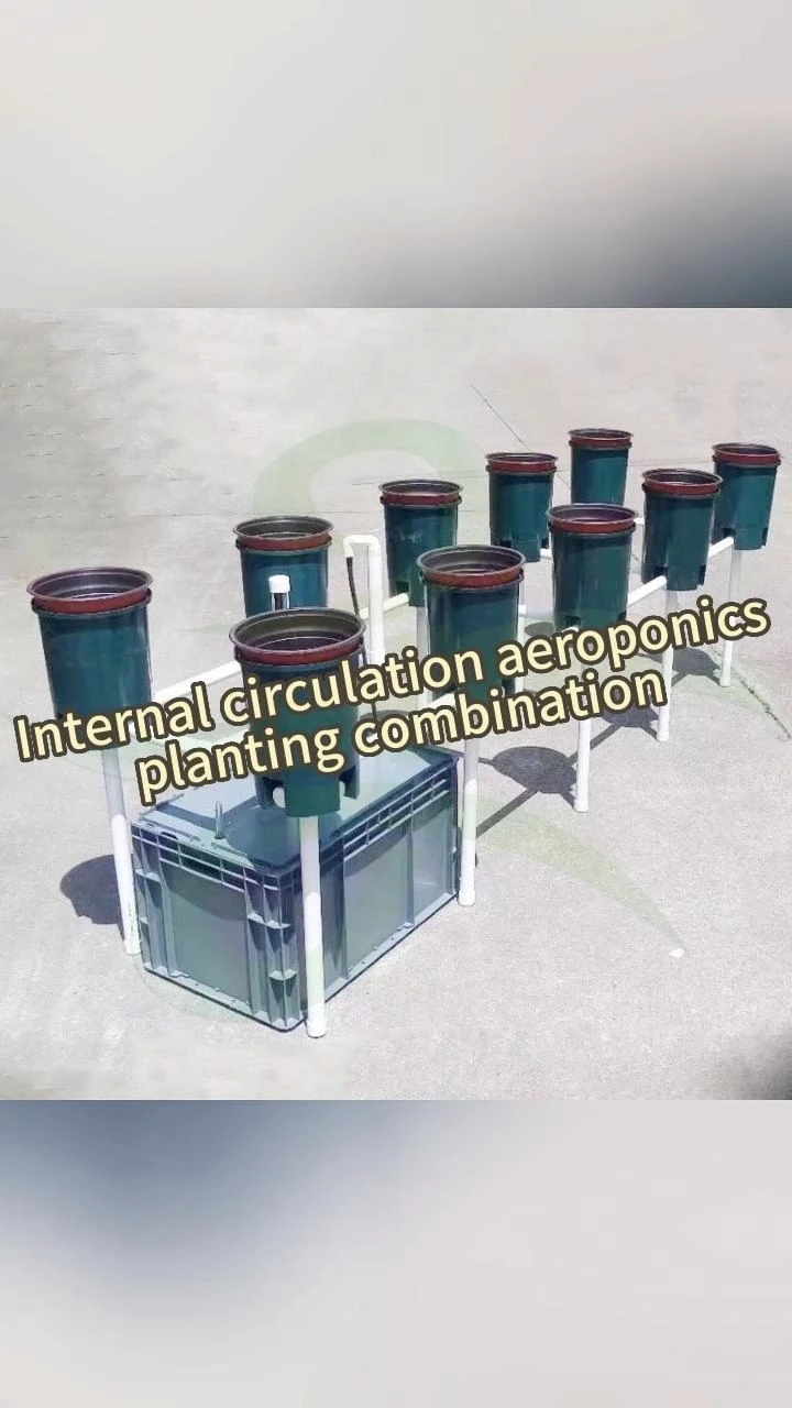 Dwc Horticulture Reciuculating Drip Garden Buckets System For Indoor Plants Growing Dutch Bucket Irrigation 1