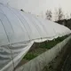 Wind Tunnel Greenhouse by Skyplant 3