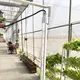 Hydroponic Tower - - Skyplant-1 8