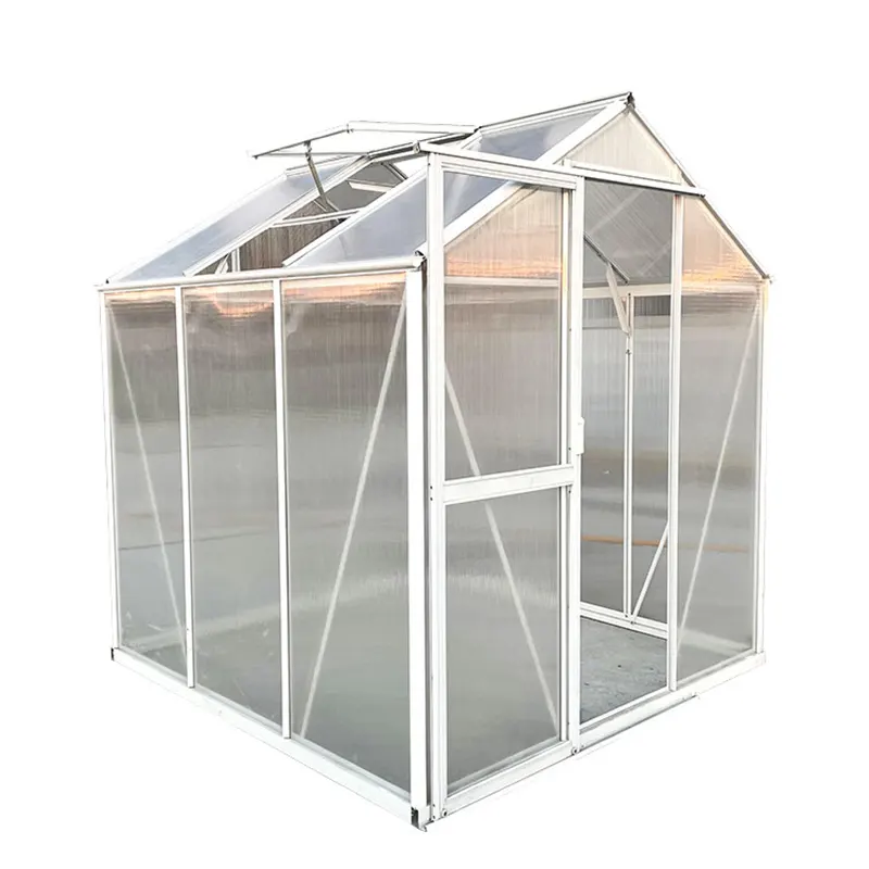 Economical Greenhouse - - Skyplant-1 2