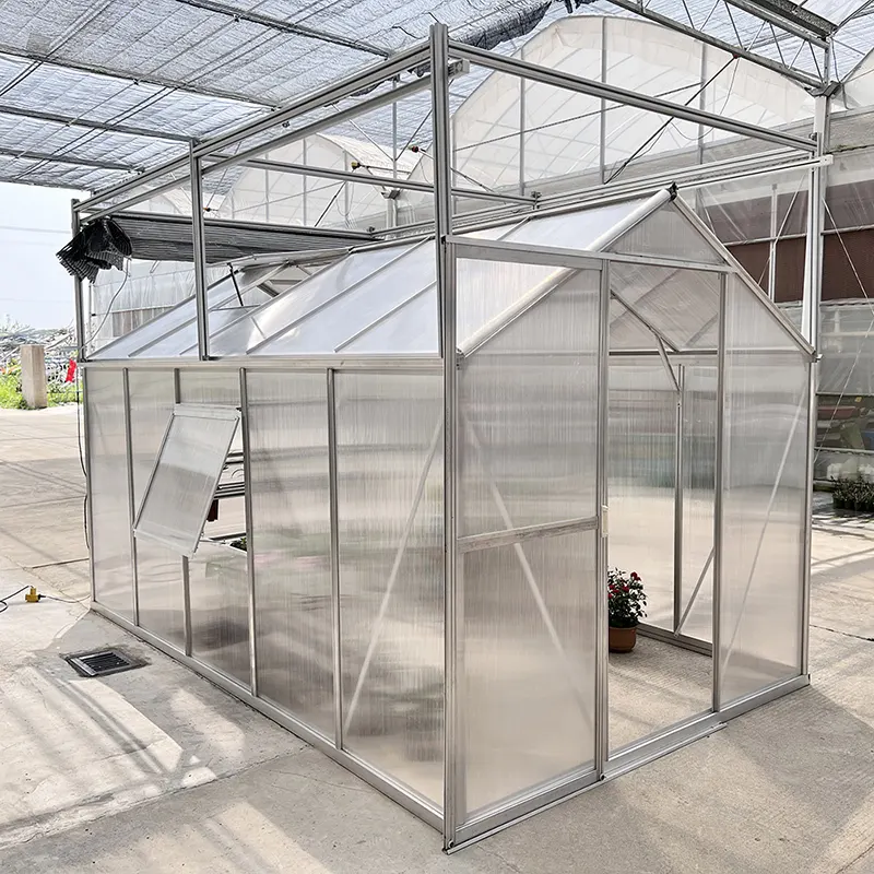 Economical Greenhouse - - Skyplant-1 6