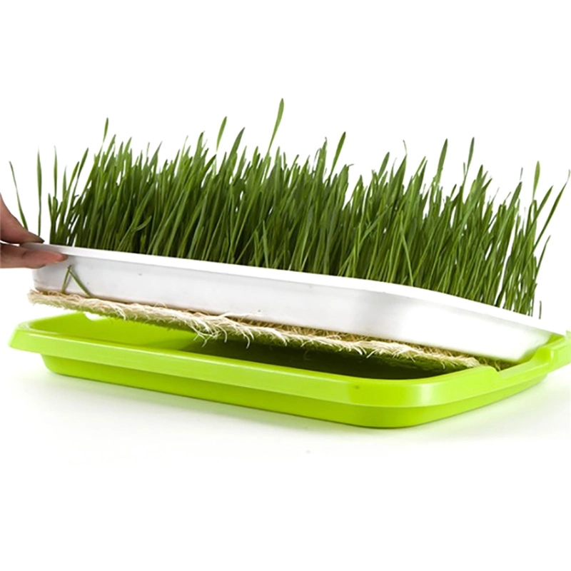 high plastic seedling trays for nursery vegetables seedling tray Microgreen tray 1