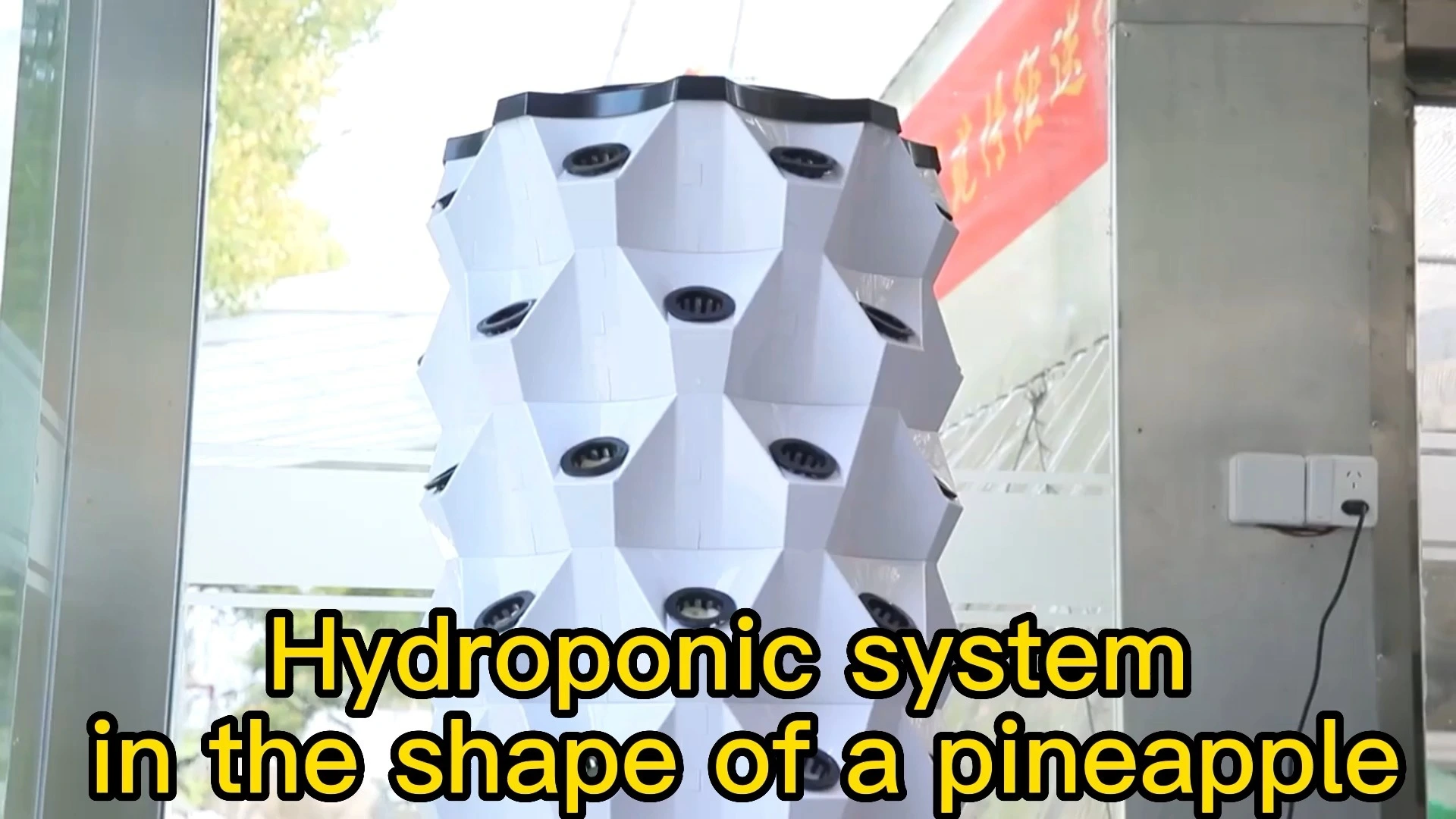 Pineapple hydroponic tower 1