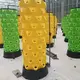 Hydroponic Growth Systems by Skyplant 7