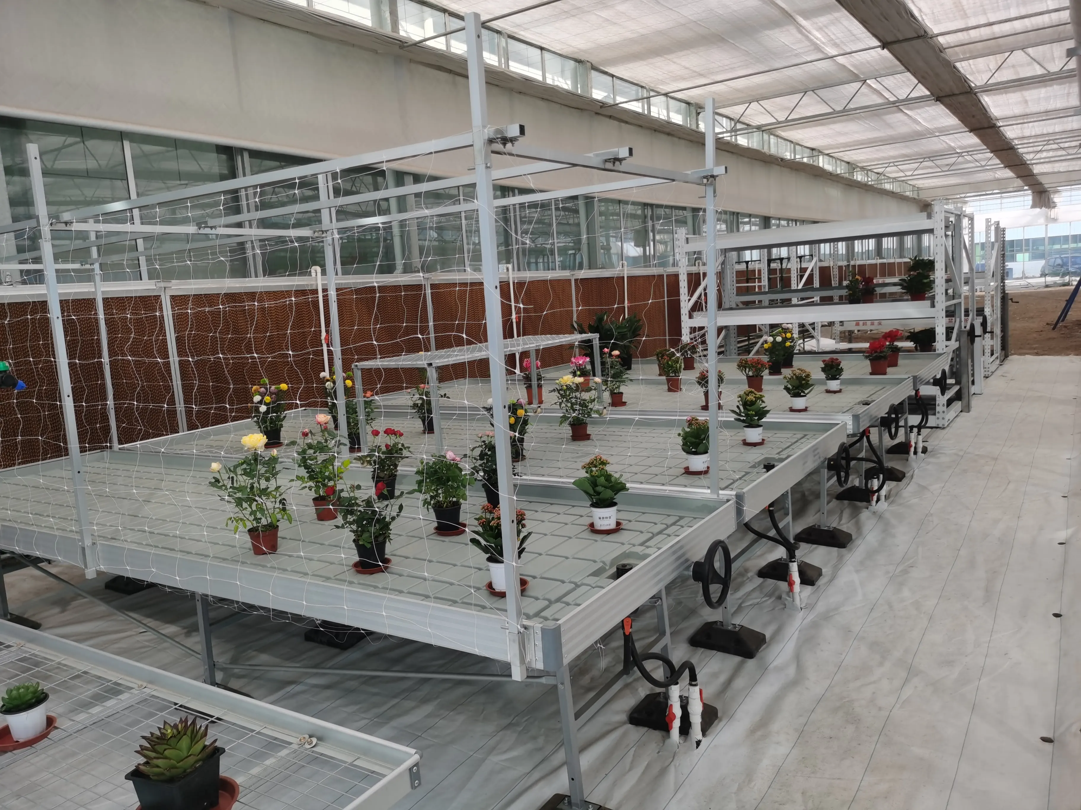 Custom Vertical Farming Racks Skyplant 2