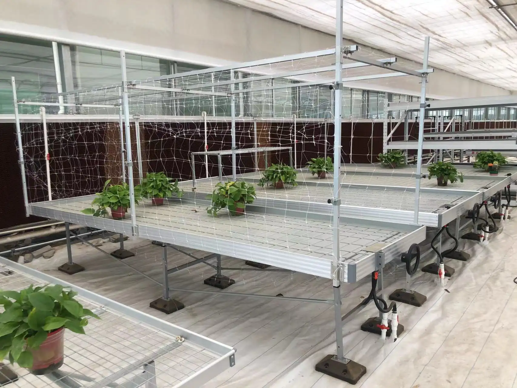 Custom Vertical Farming Racks Skyplant 6