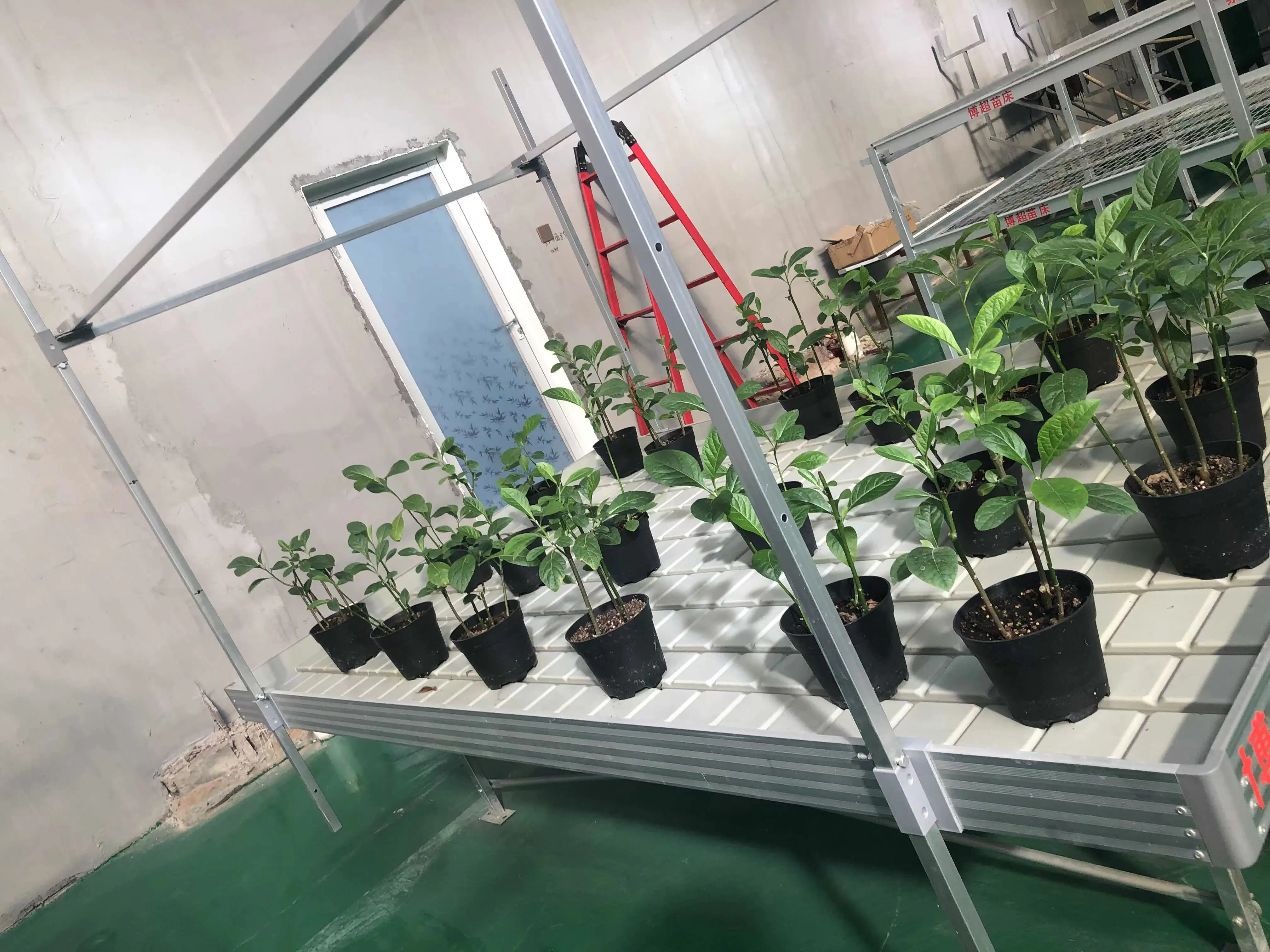 Custom Vertical Farming Racks Skyplant 8