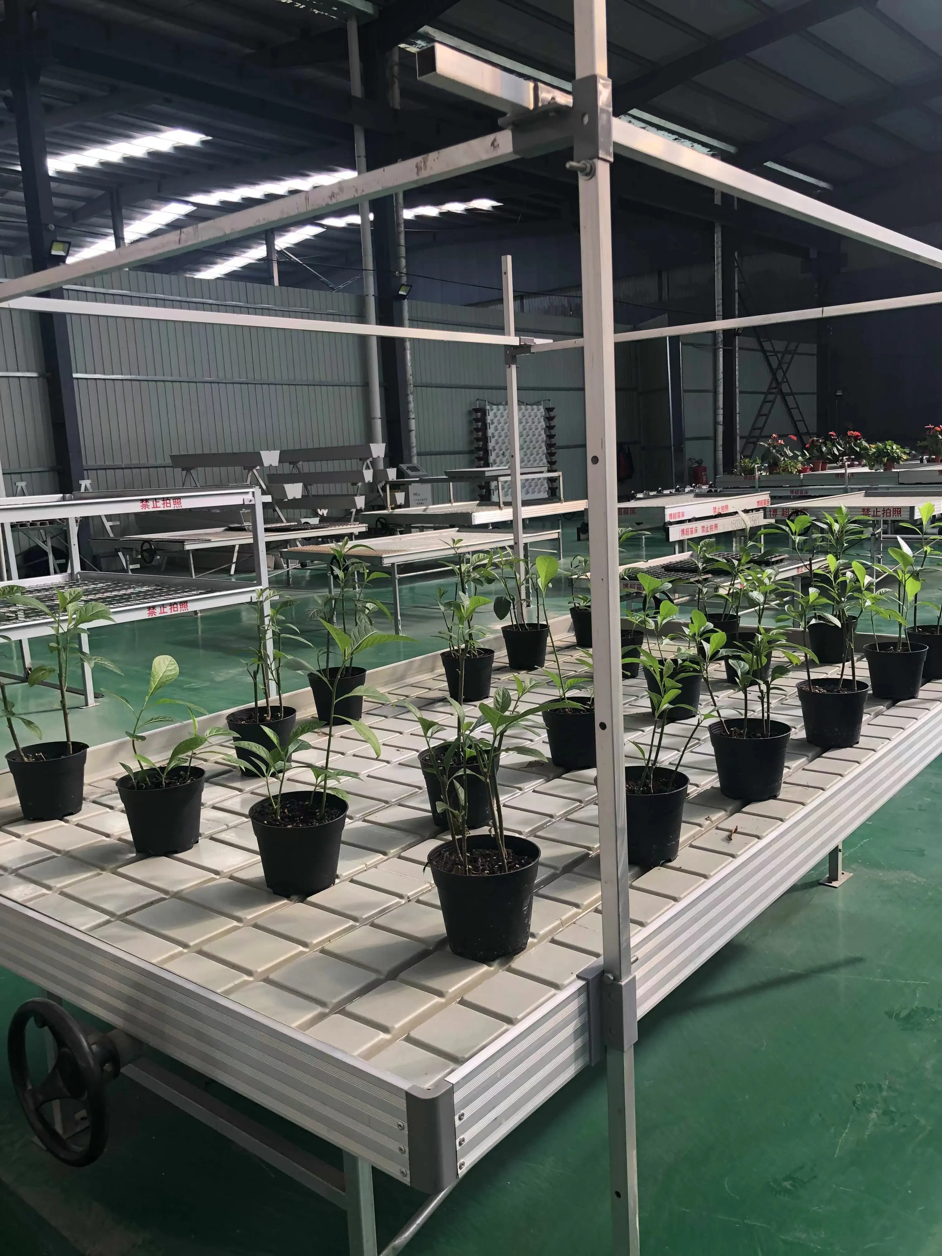 Custom Vertical Farming Racks Skyplant 4