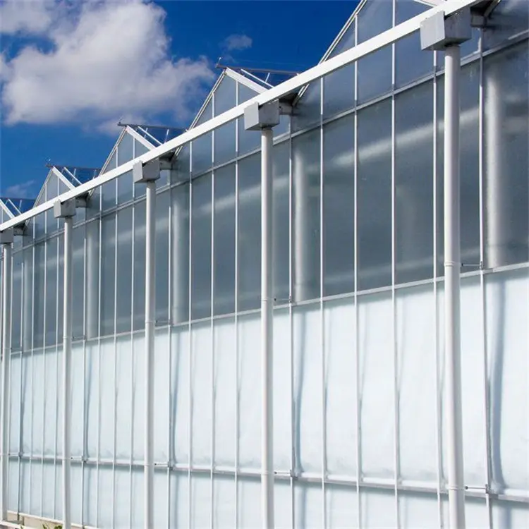 Multi Span Greenhouse - - Skyplant 6