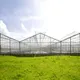 Multi Span Greenhouse - - Skyplant 9