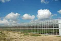 Multi Span Greenhouse - - Skyplant 4