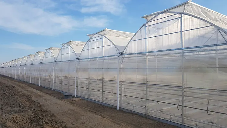 Multi Span Greenhouse - - Skyplant 7