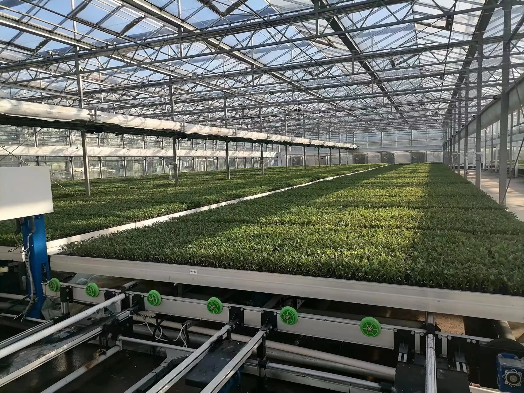 Wholesale Custom Size Growing Tables for Commercial Plants Hydroponic Nursery Seed Grow Bed Grow Table Rolling Benches 1