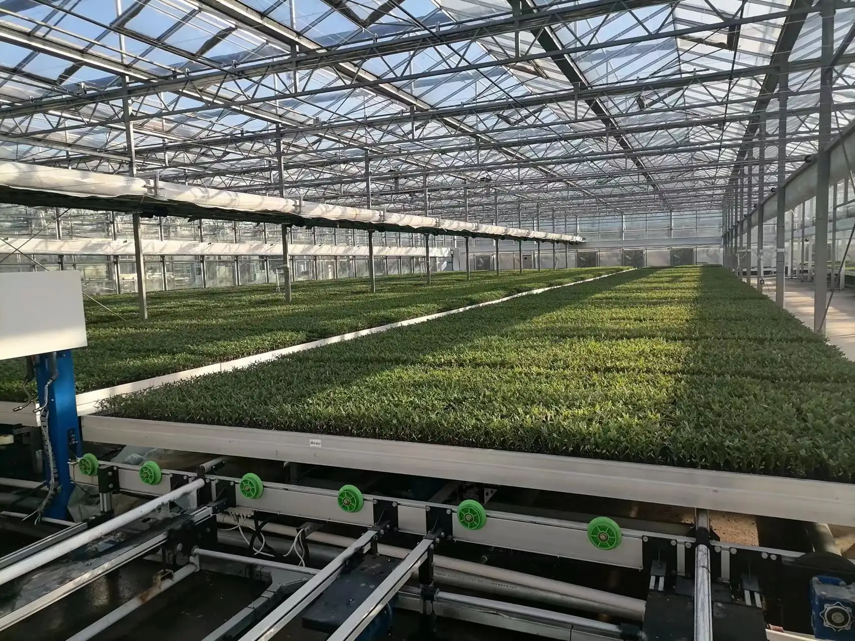 Vertical Growing Racks by Skyplant 3